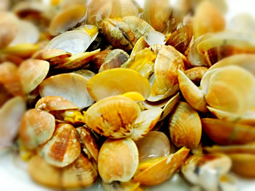 Snapdishの料理写真:clams...|princessjoさん