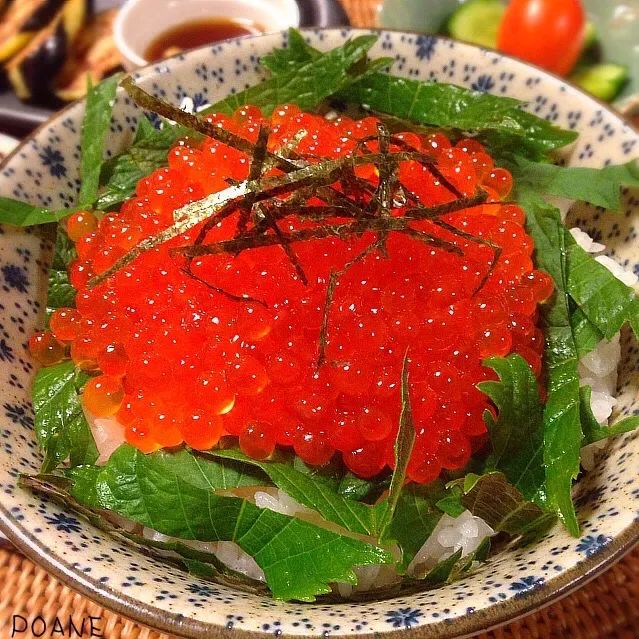 mamaᑦᑋ੨ᵑ⑅お手製醤油漬け(＊'͜' )⋆*イクラ丼ᵕ̈ᵎᵎ|ポァン◡̈*❤︎さん