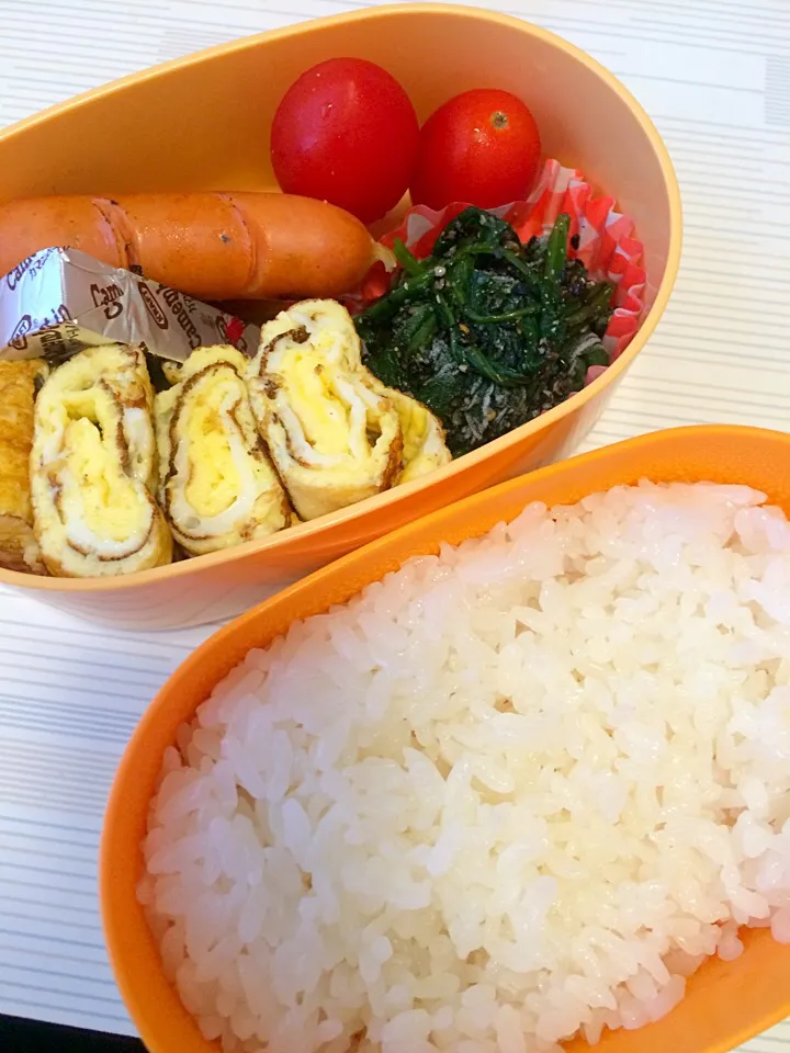 Snapdishの料理写真:本日のお弁当|himari☺︎さん