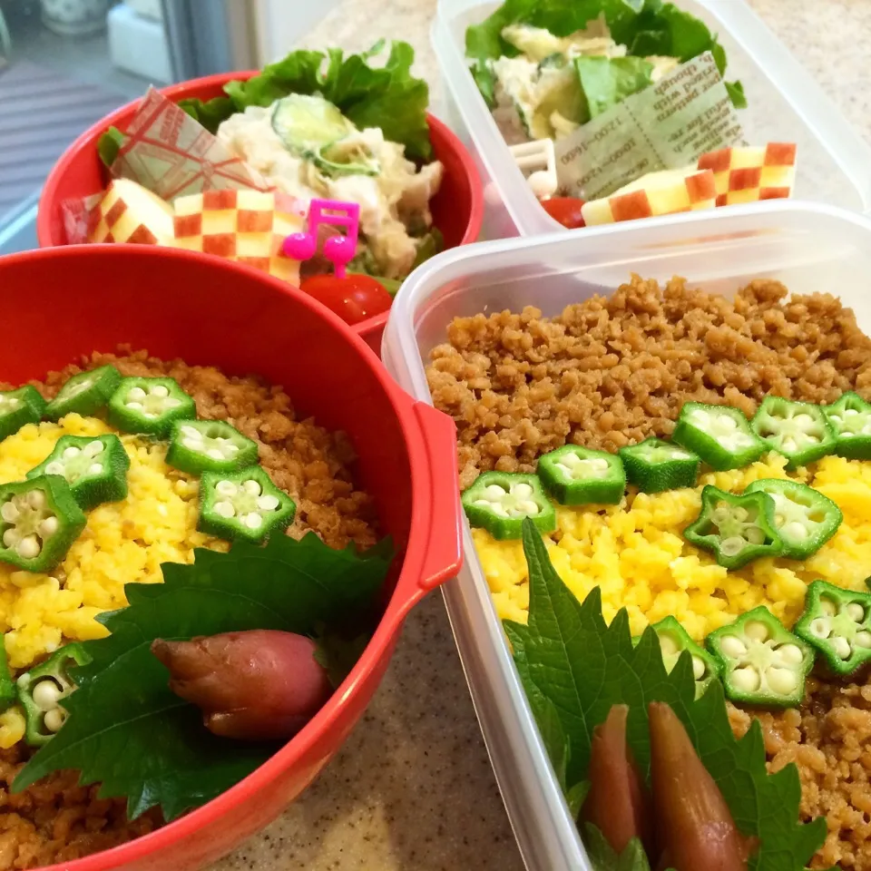 10/8 今日のお弁当|naoさん