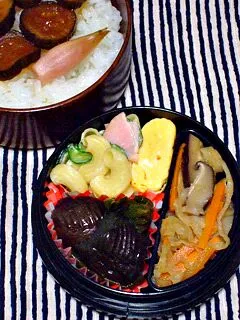 お弁当（ご飯、キューちゃん漬け、茗荷の甘酢漬け、マカロニサラダ、なすの煮浸し。切り干し大根の煮物）|すーさん