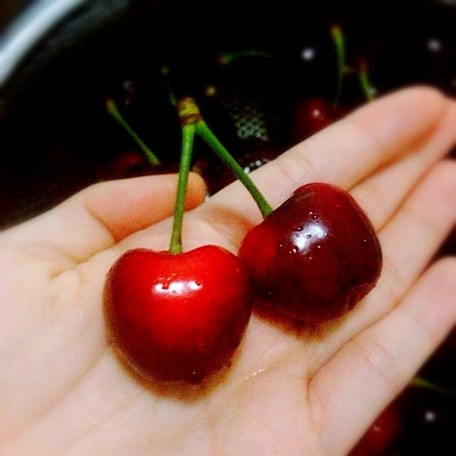 cherry🍒|FRさん