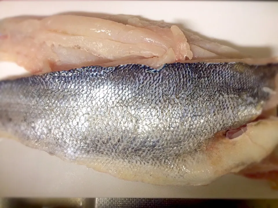 Cut into three fillets for Seabass|Masakiさん