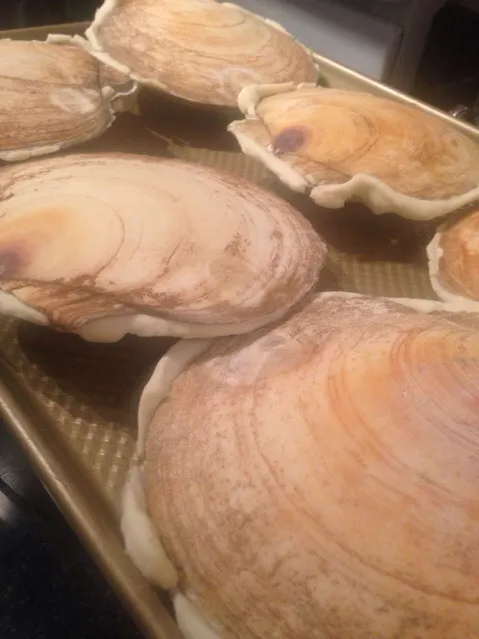 Snapdishの料理写真:Scallops cooked in their Shell|Christine pavelkaさん