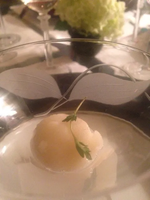 Pear Sorbet|Christine pavelkaさん