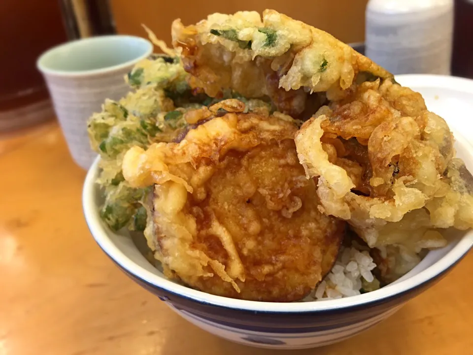 野菜天丼|hirotomoさん