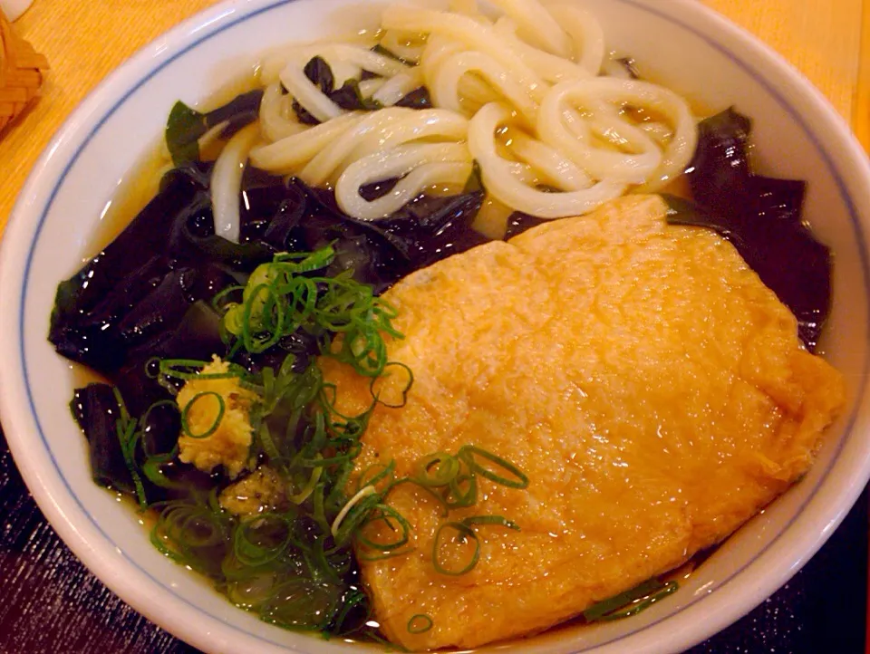 札幌 寺屋 ワカメうどん|pipioujiさん