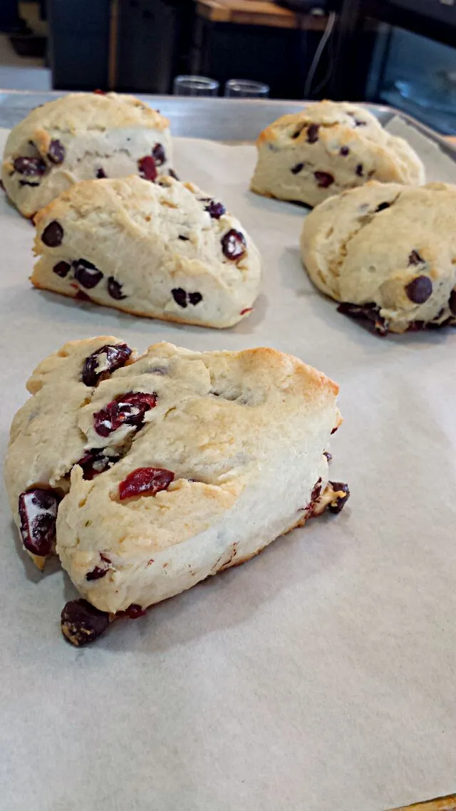 Snapdishの料理写真:Cranberry Chocolate Biscuits|Y-vo Martinezさん