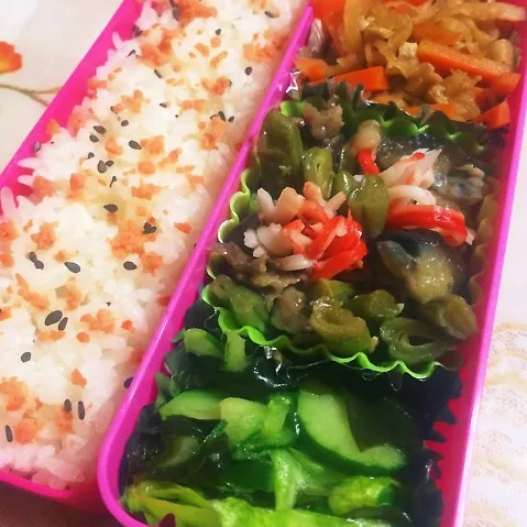 本日の失敗…お弁当|かよさん