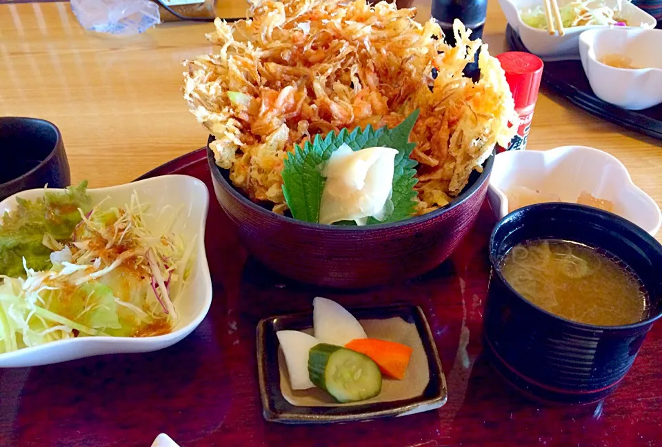 Snapdishの料理写真:桜海老のかき揚げ丼|ぷりはにさん