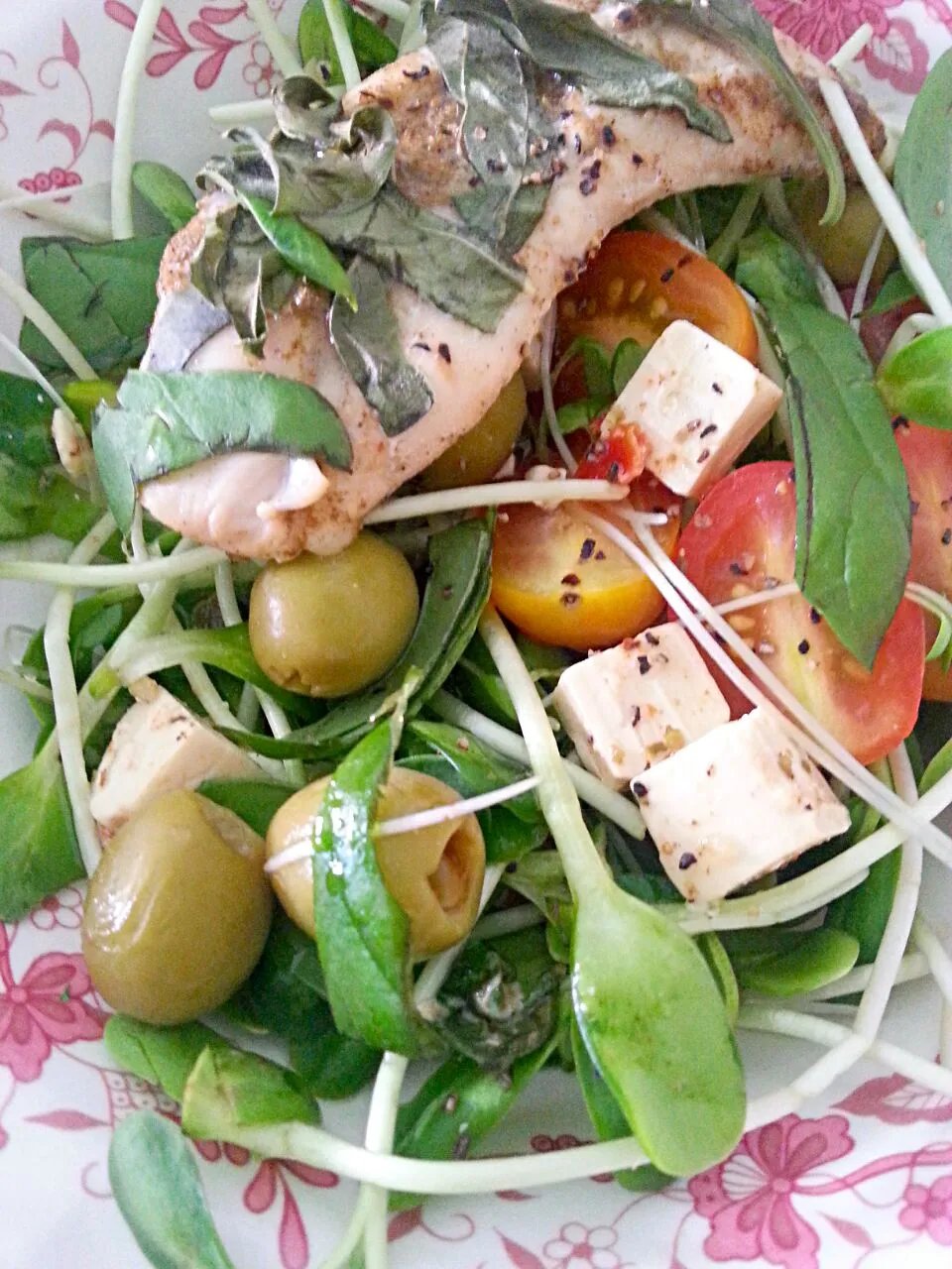 sunflower n wasabi sprout salad w greek feta n olives in olive oil and grilled chicken w oregano, basil n black pepper|susan laiさん