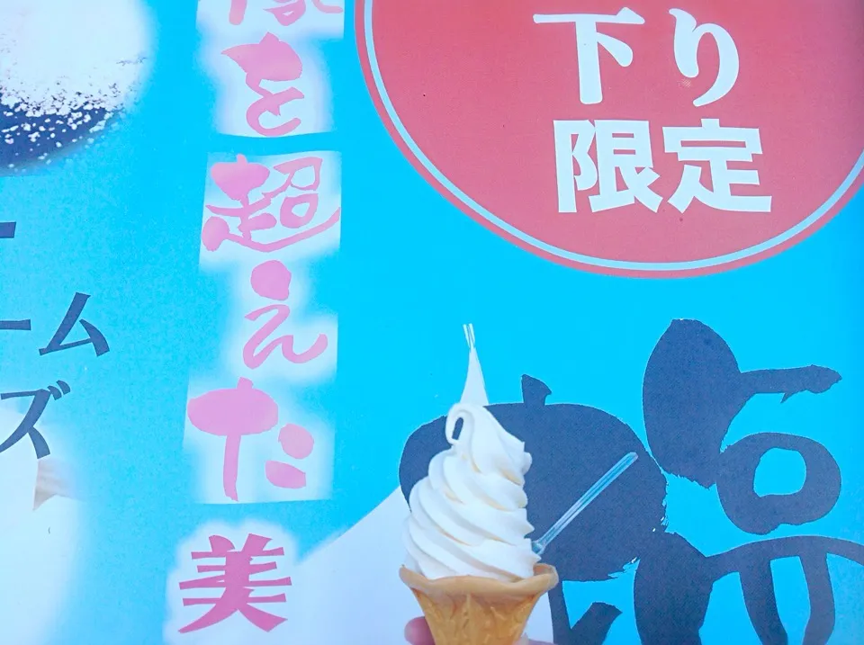 岩手県〜😋塩チーズソフト🍦|アライさんさん