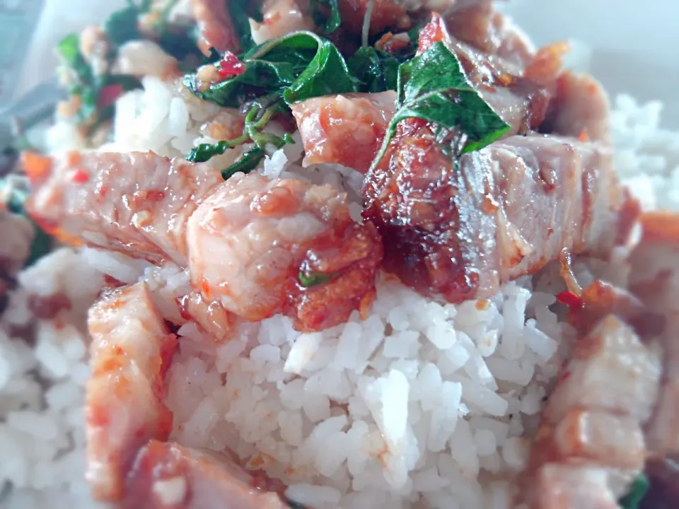 Snapdishの料理写真:Basil Pork Rice.🍛🍴|Romchalee Treetodさん