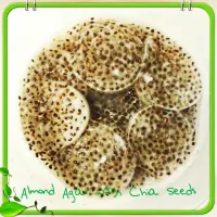 #almond #agar #chiaseeds|A Warrior Storyさん