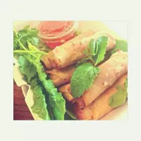 Vietnamese Eggrolls|Jessica Tranさん