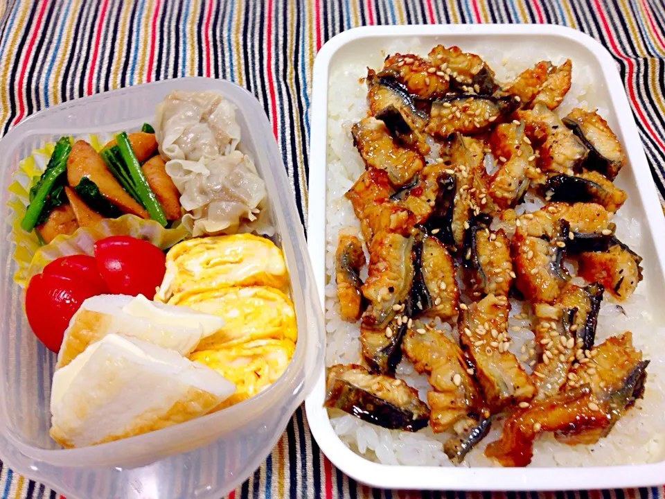 Snapdishの料理写真:ザ☆親バカwww今年一番ビシッと決めてこーい！弁当|ちもこさん