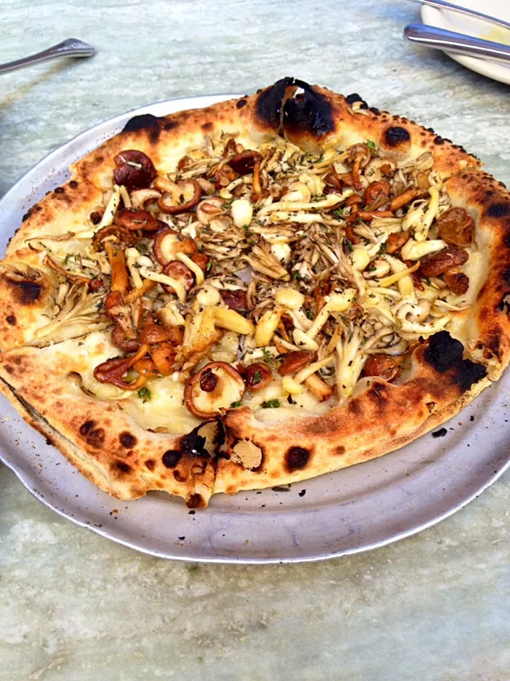 Gjelina- wild mushroom pizza|Sarah Mahoneyさん