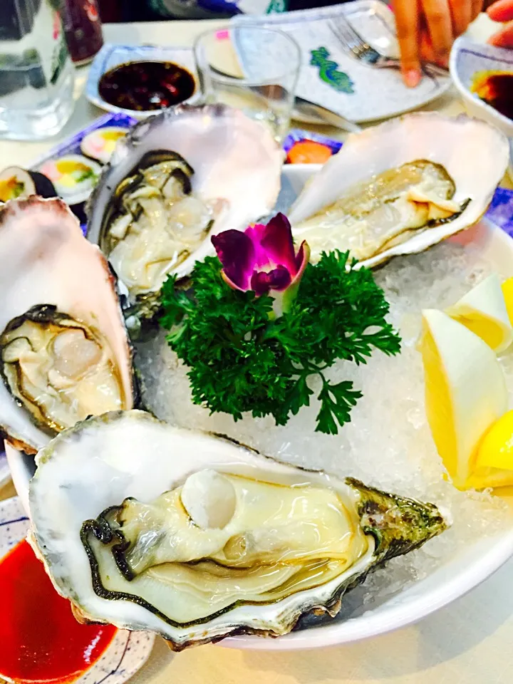 France Oysters|Queenさん