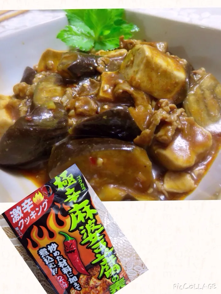 Snapdishの料理写真:極辛麻婆豆腐の素で、麻婆豆腐・茄子|Yasuo  Watanabeさん