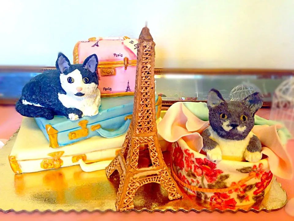 Snapdishの料理写真:Paris Birthday Cake|Ilanit V.さん