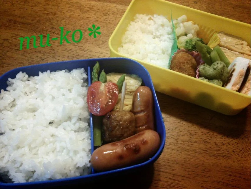 自分とお父さんのお弁当(o･v･)|むーこさん