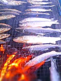 塩焼き鮎で酒盛り|ち〜おんさん