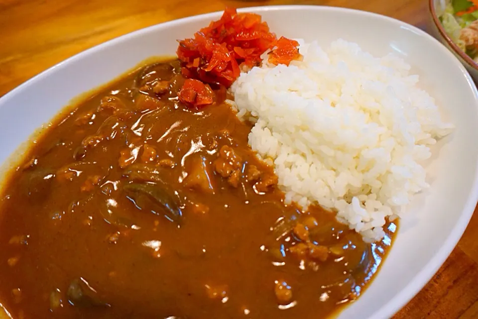 茄子と挽肉のカレー|たこさん