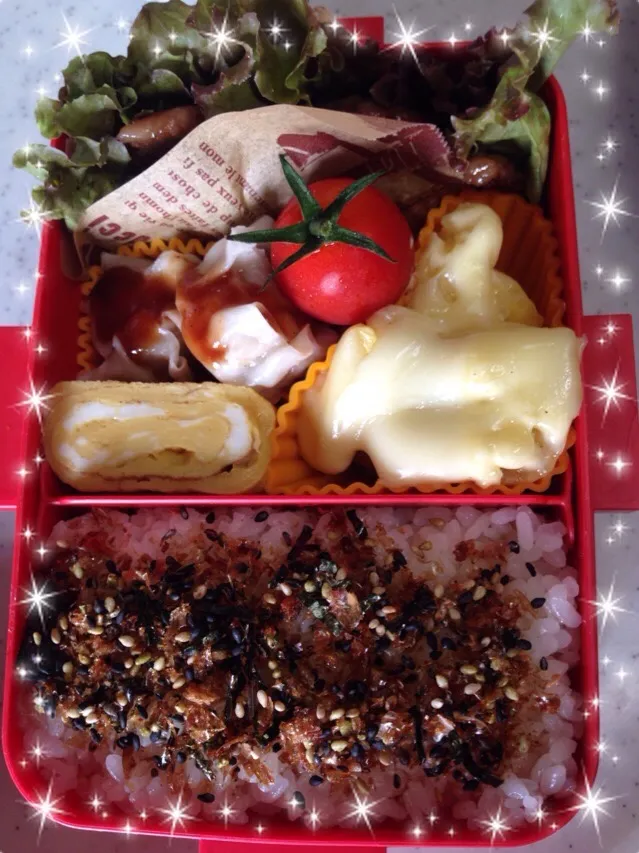 Snapdishの料理写真:中3女子弁当💕|みきさん