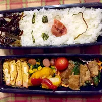 お弁当|ぴのさん