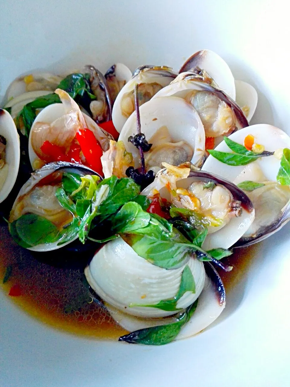 clams Thai style with oyster sauce #thaifood #thai #food #happiness #clams #oystersauce #hot #spicy|Revaさん