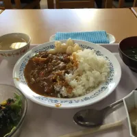 Snapdishの料理写真:ポークカレー|Hidekiさん