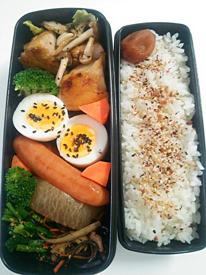 今日のお弁当|chiinaさん