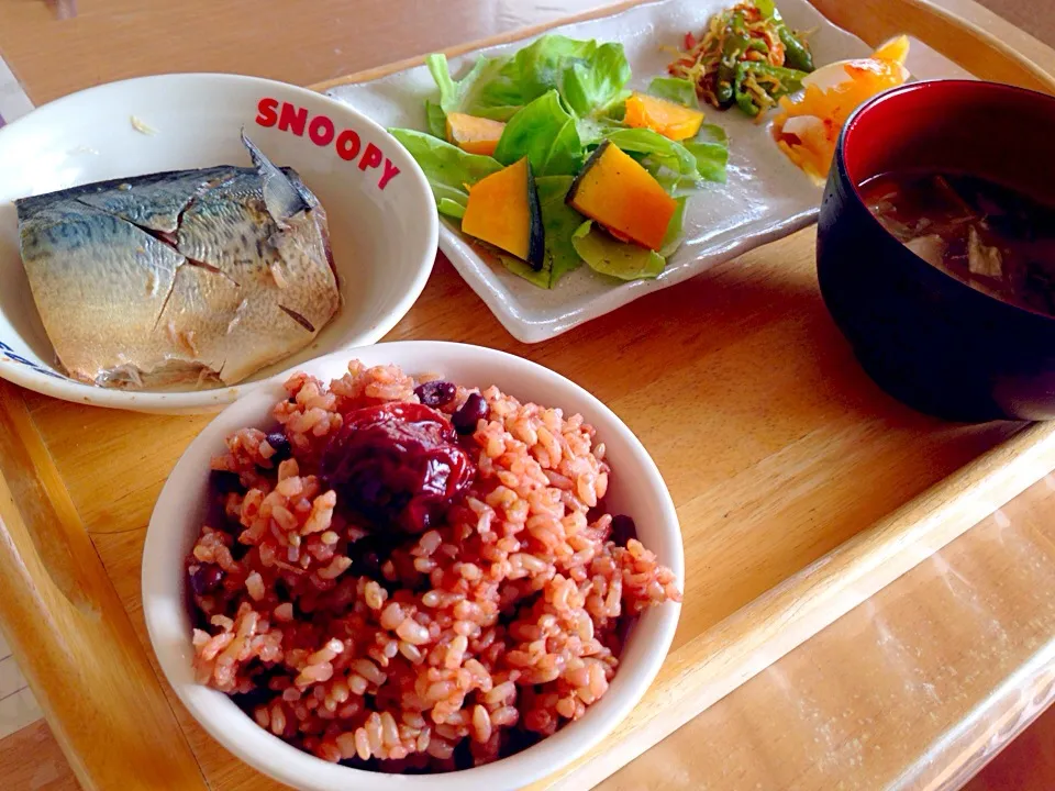 発酵玄米でお昼ご飯🍚|かわちさん