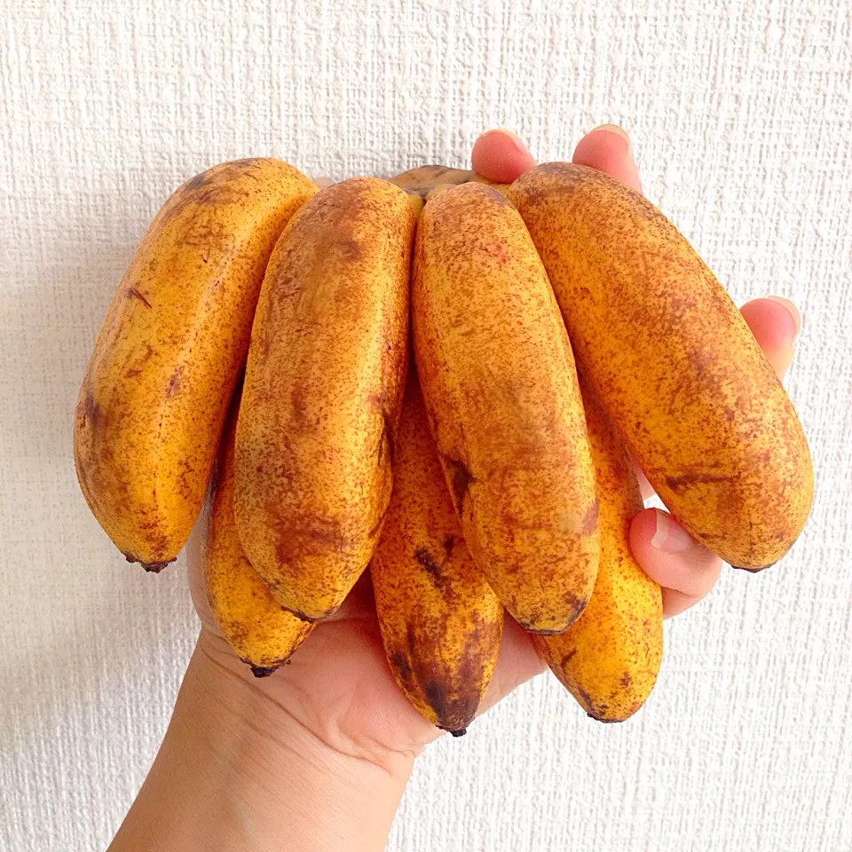 Mini bananas|yeni kartikasariさん