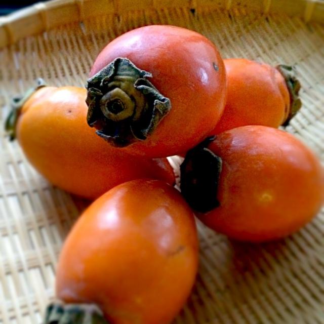 筆柿渋柿かと覚悟して買っら甘かった/はやちん SnapDish[スナップディッシュ] (IDyCGqaa)