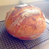 Snapdishの料理写真:Dutch oven bread|Elle Bates Reuterさん