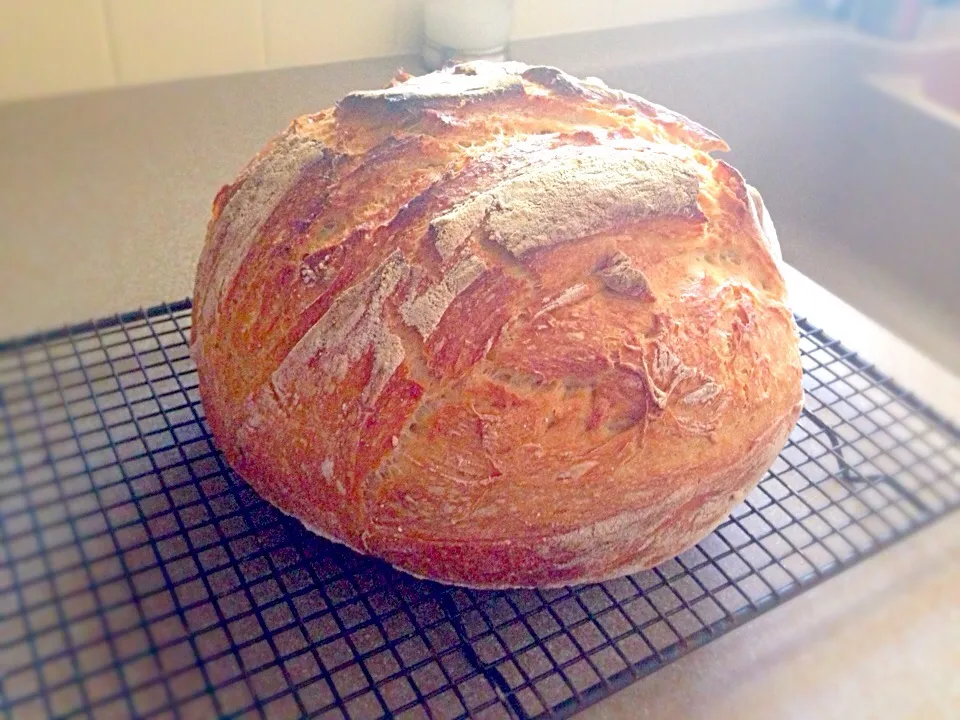 Dutch oven bread|Elle Bates Reuterさん