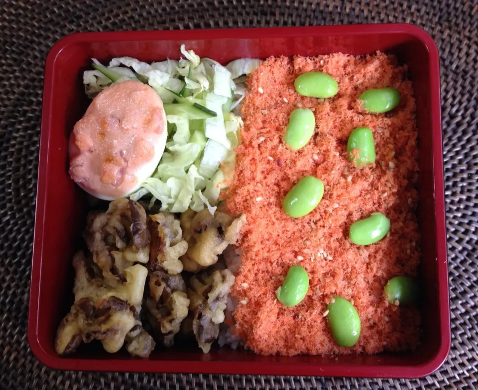 Snapdishの料理写真:鮭そぼろごはん弁当|*なおみん*さん