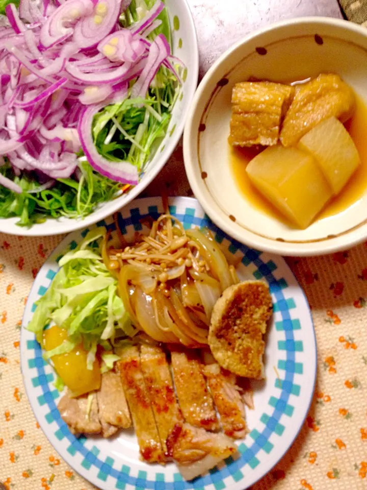 豚テキ 野菜添え 大根と揚げの煮物 サラダ|掛谷節子さん