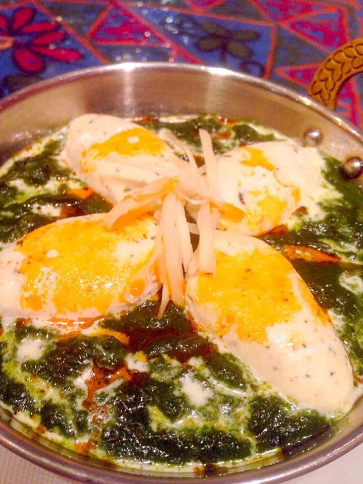 Palak paneer looking delicious!!|Tanuさん