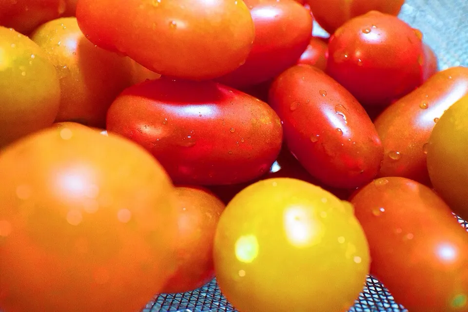 Love tomatoes especially freshly picked garden tomatoes! #vegan|Leahさん