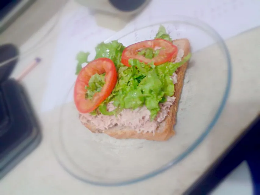 04/09/2014 - lanche da tarde

pão integral + atum + creme de ricota light + alface + tomate|Gabriela Baptistaさん