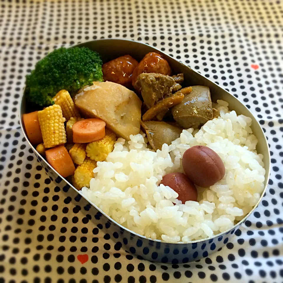 10月18日パパお弁当|tomoさん