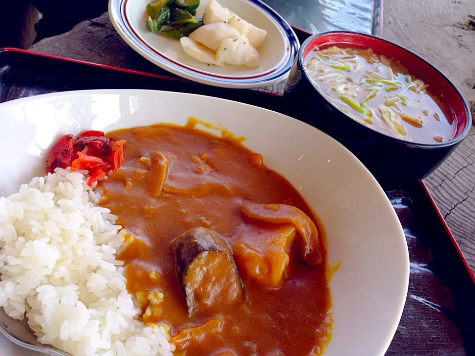 とろとろカレー|鈴木真理子さん