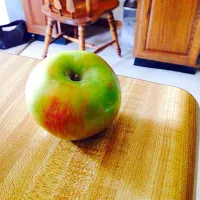 Snapdishの料理写真:Apple a Day|rach shakesさん