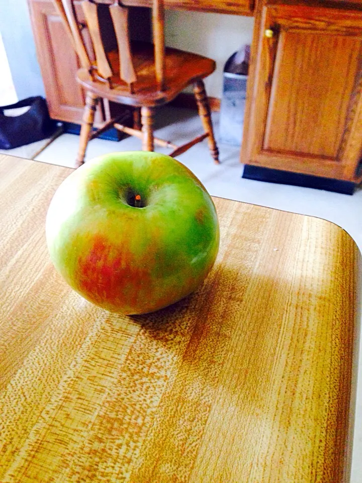 Snapdishの料理写真:Apple a Day|rach shakesさん