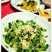 カイワレとチキンのサラダマスタード味