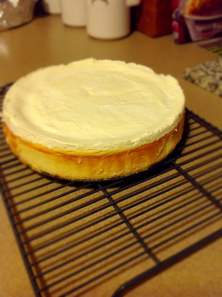 Snapdishの料理写真:NewYork CheeseCake|Jen Hembreeさん