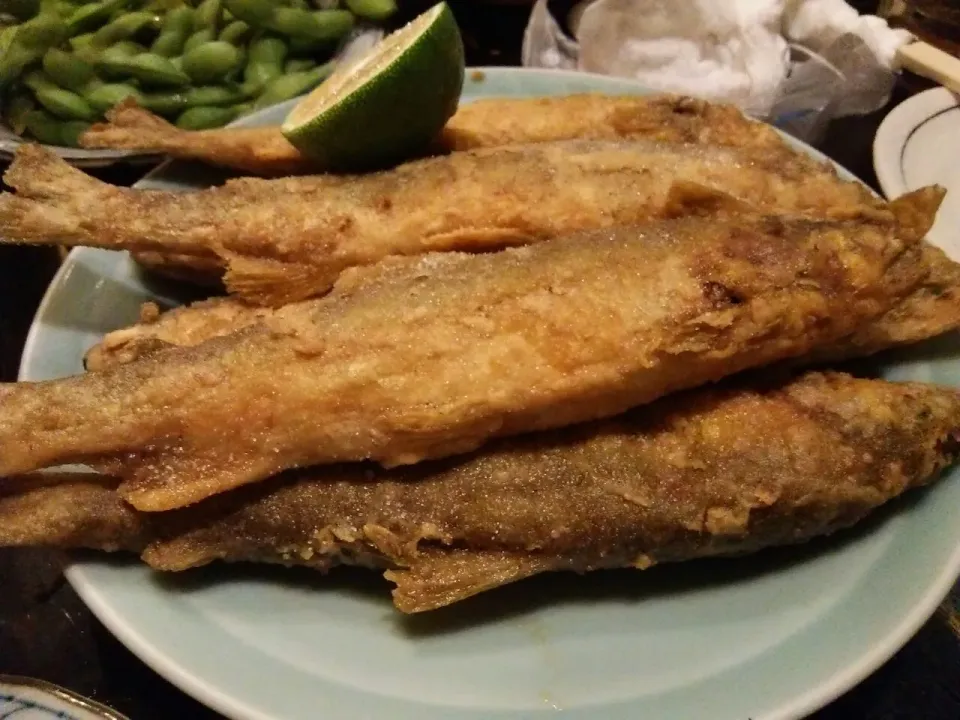 大衆料理　川治。|東京ライオンズさん