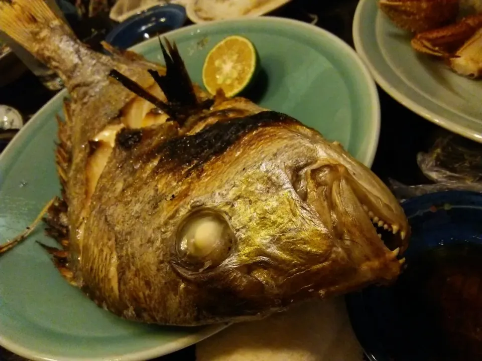 大衆料理　川治。|東京ライオンズさん